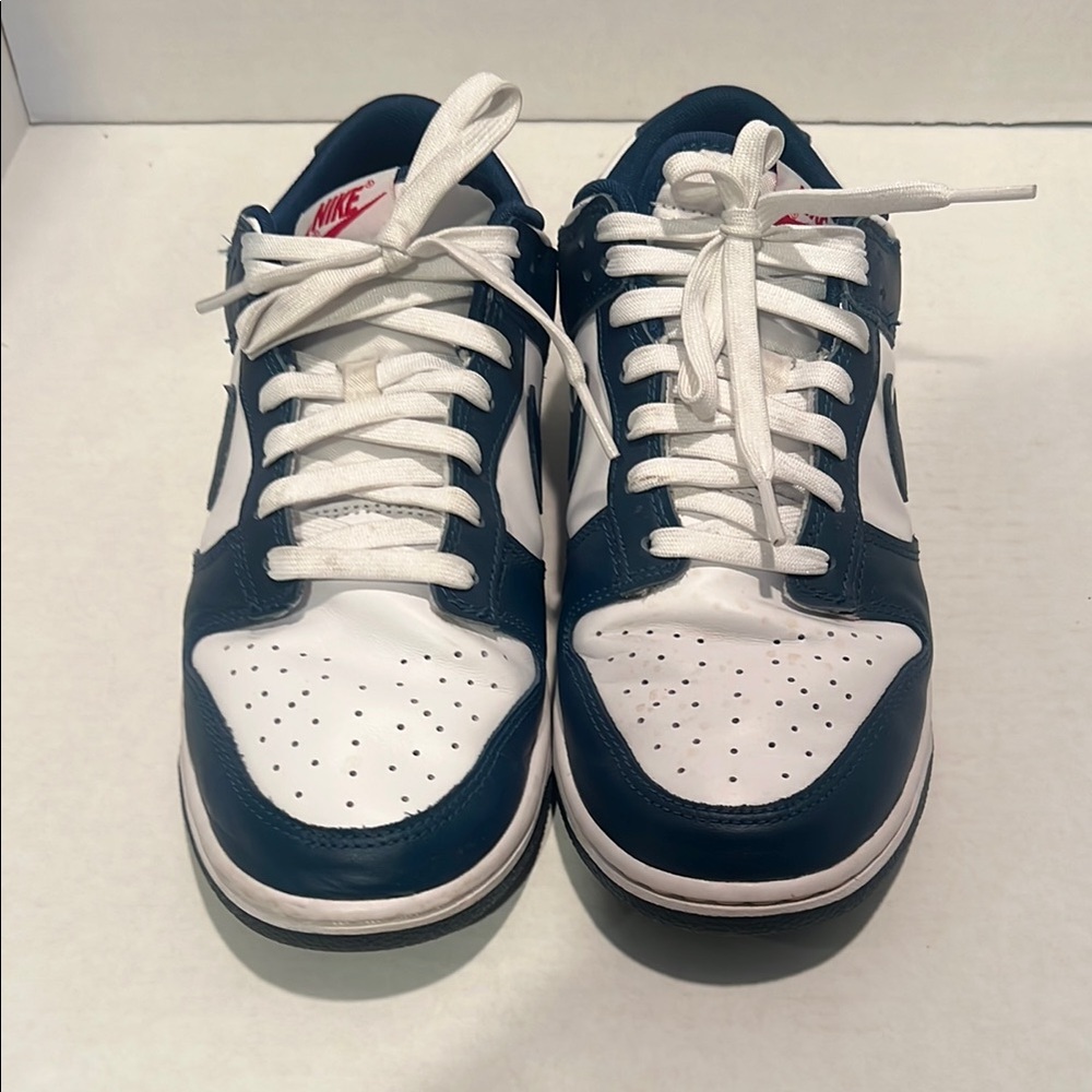 Nike Men's Dunks - Valerian Blue